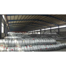 Made in China Galvanized Steel Wire with High Tension